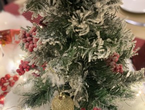 “Đón chào Giáng Sinh: Những sự kiện đặc biệt tại nhà hàng Bluebird”