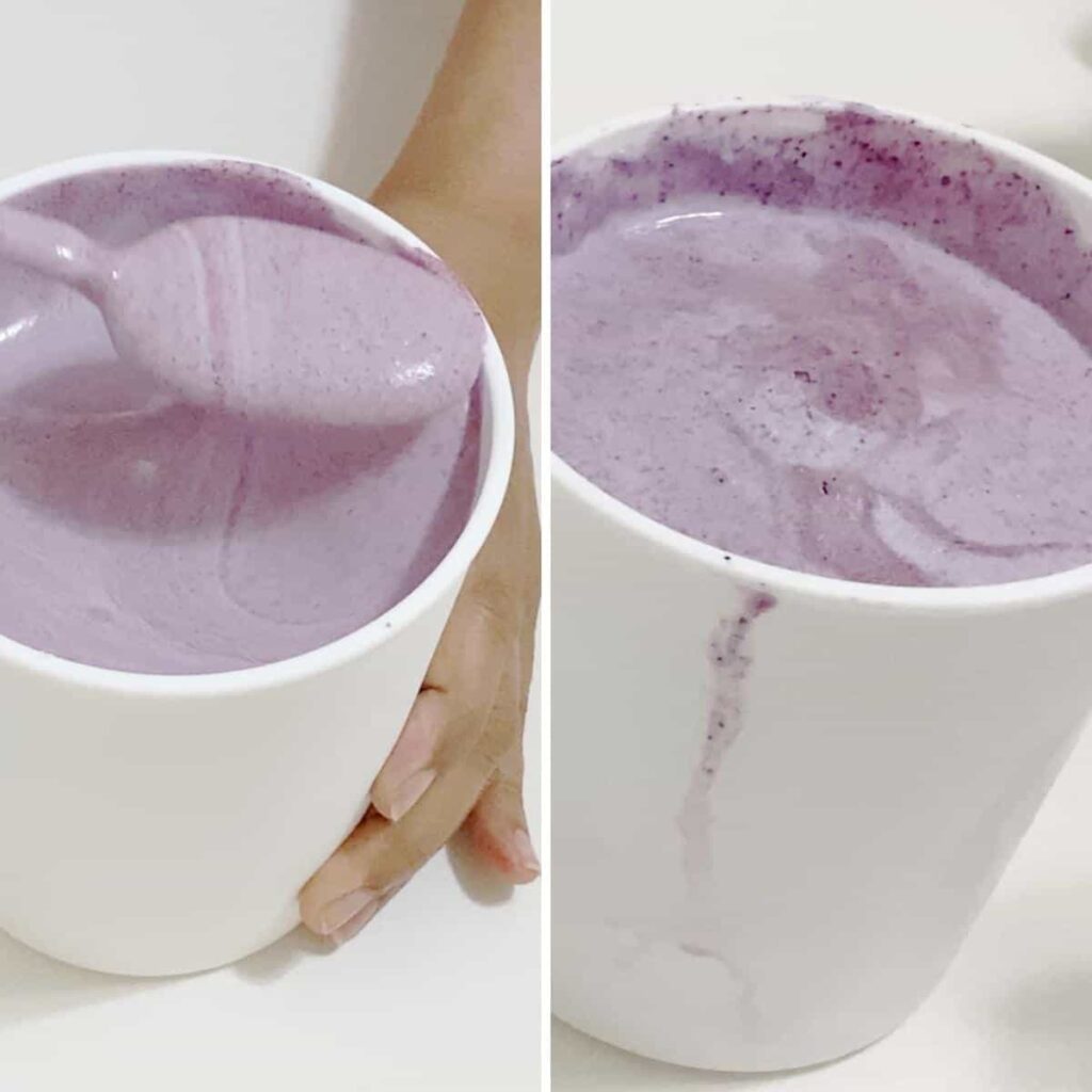 Blueberry Ice cream No Churn