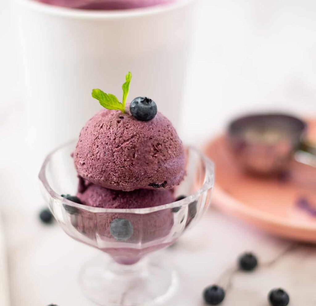 Blueberry Ice cream No Churn