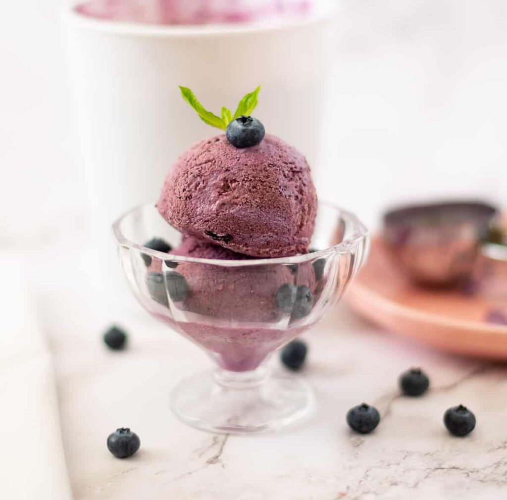 Blueberry Ice cream No Churn