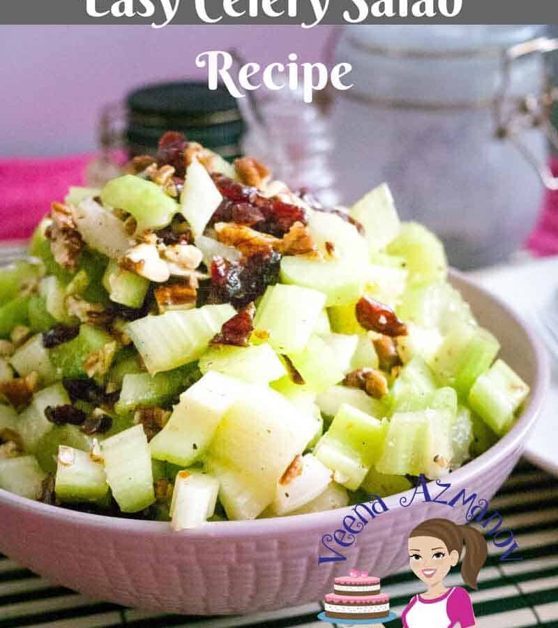 Easy Celery Salad Recipe with Cranberries and Pecans