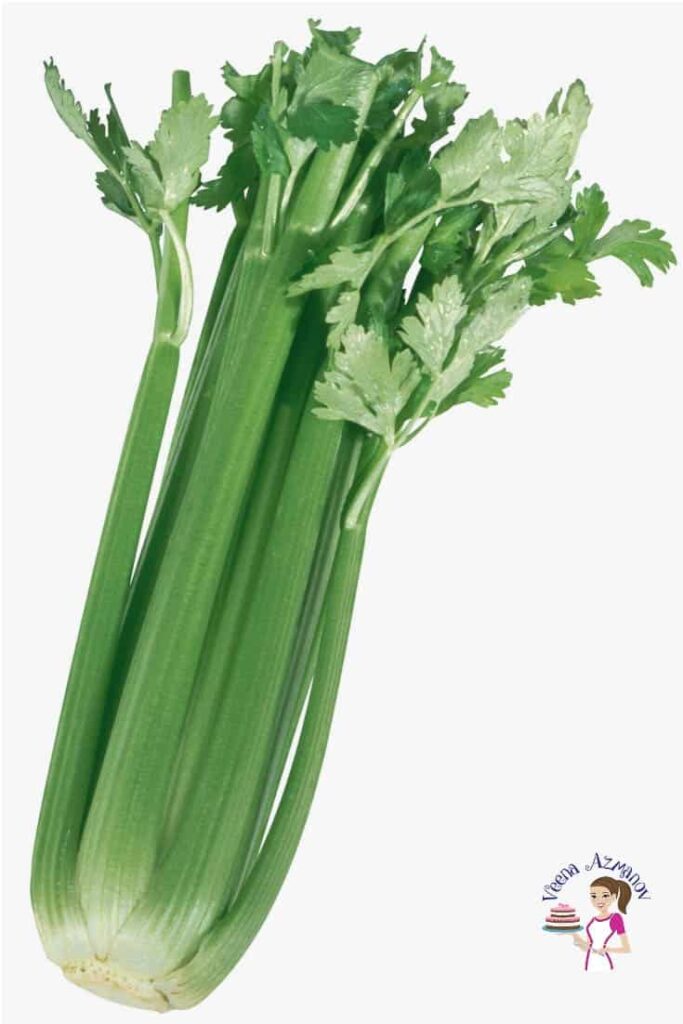 Easy Celery Salad Recipe with Cranberries and Pecans