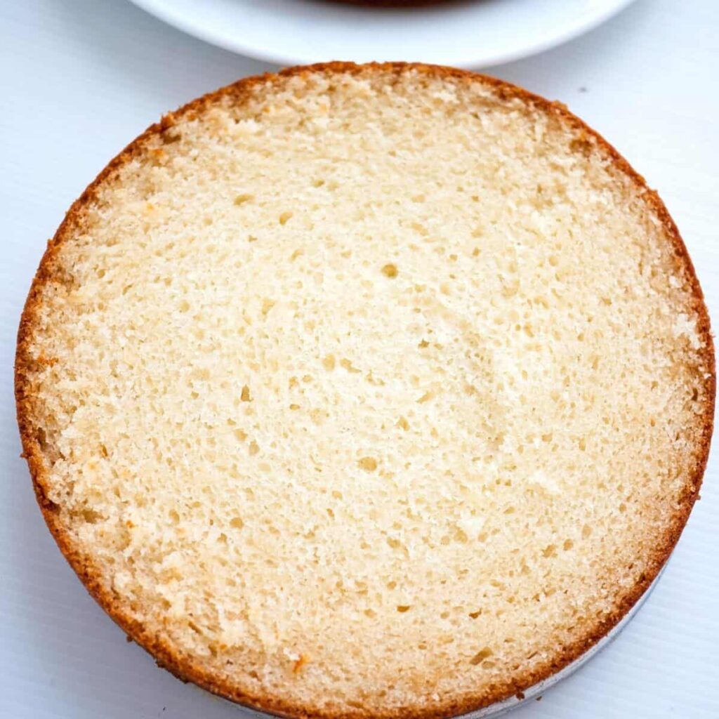 Eggless Vanilla Cake No condensed milk