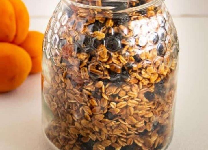 Homemade Granola Blueberry Almond Granola